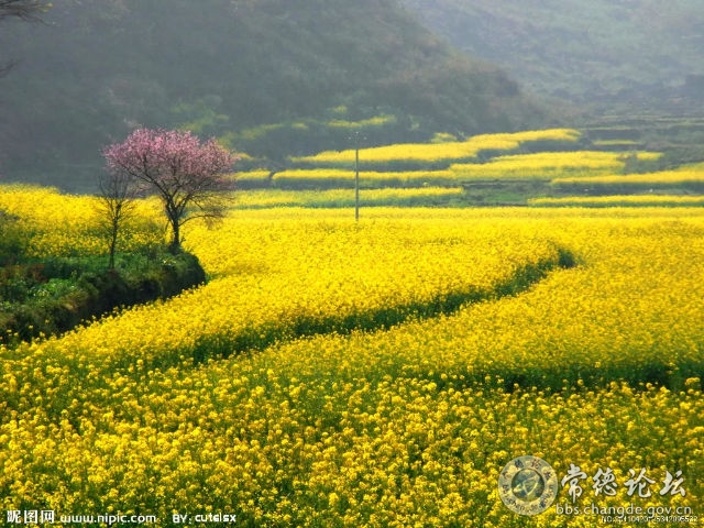 触屏版