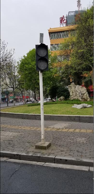 滨湖路斑马线