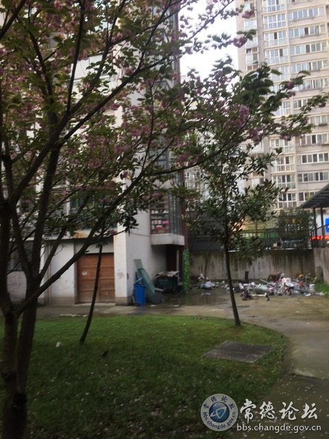 触屏版