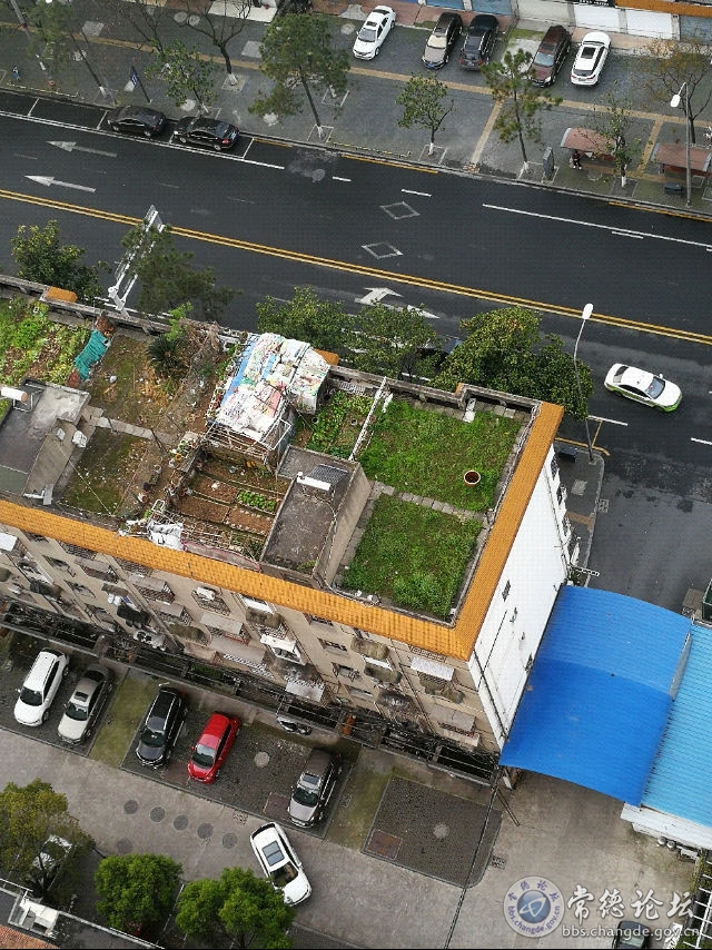 触屏版