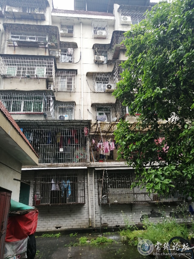 触屏版