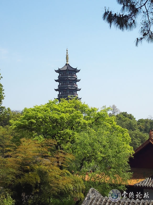 触屏版