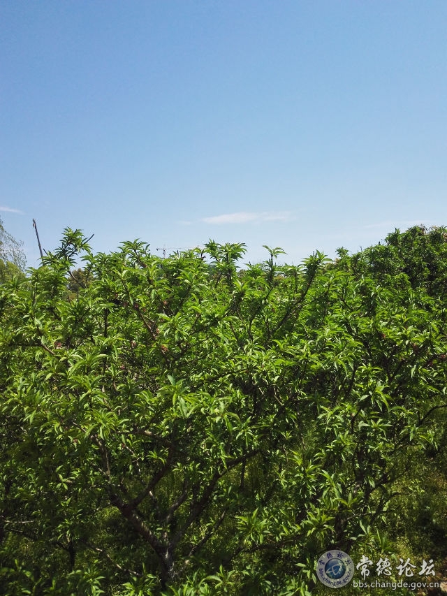 触屏版
