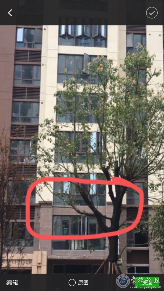 触屏版