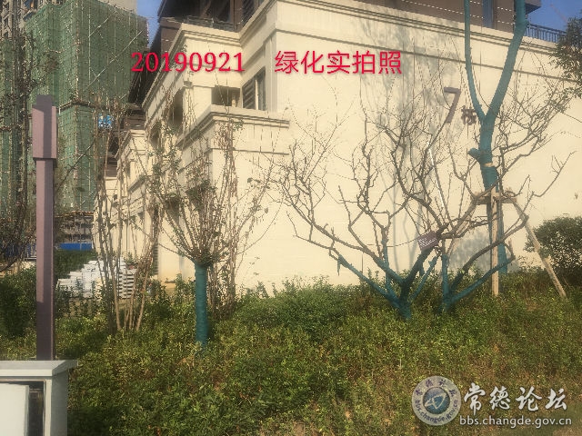触屏版