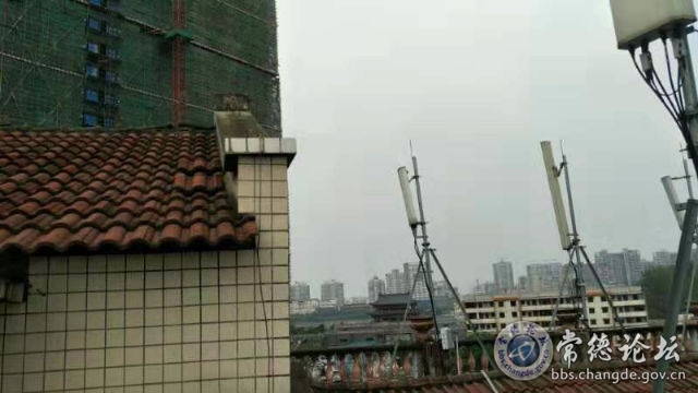 触屏版