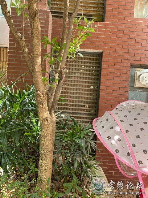 触屏版