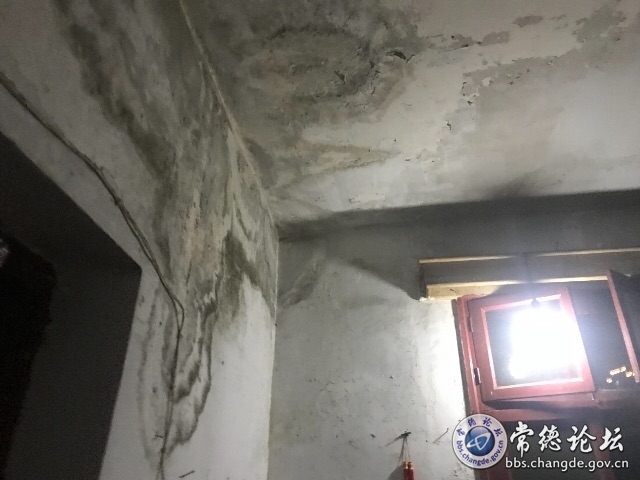 触屏版