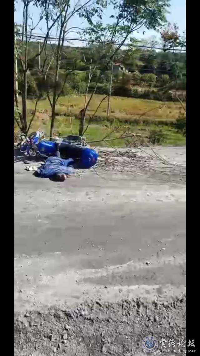 触屏版
