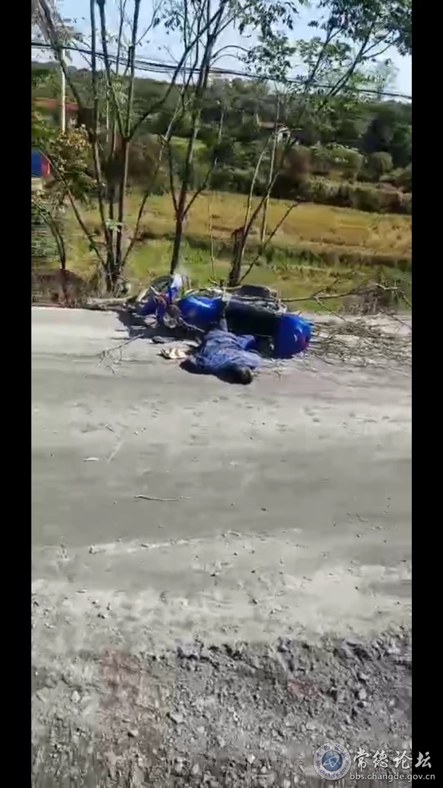 触屏版