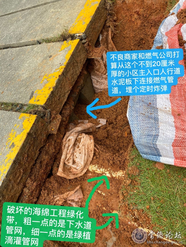 触屏版