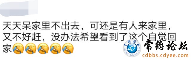 触屏版