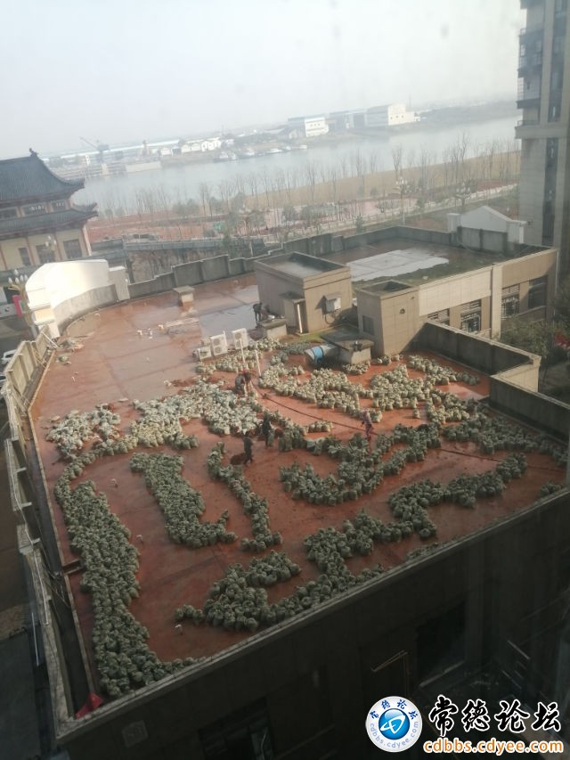 触屏版