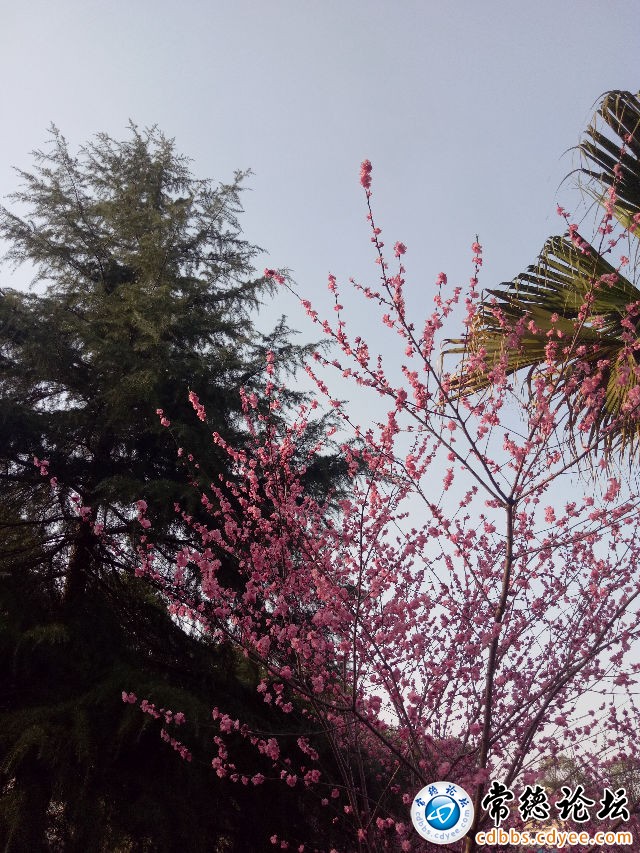 触屏版
