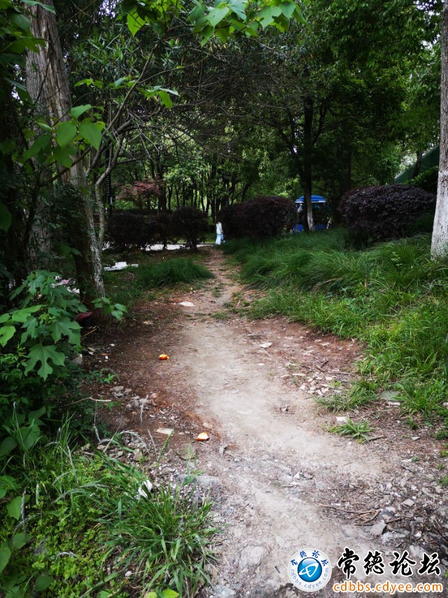 触屏版