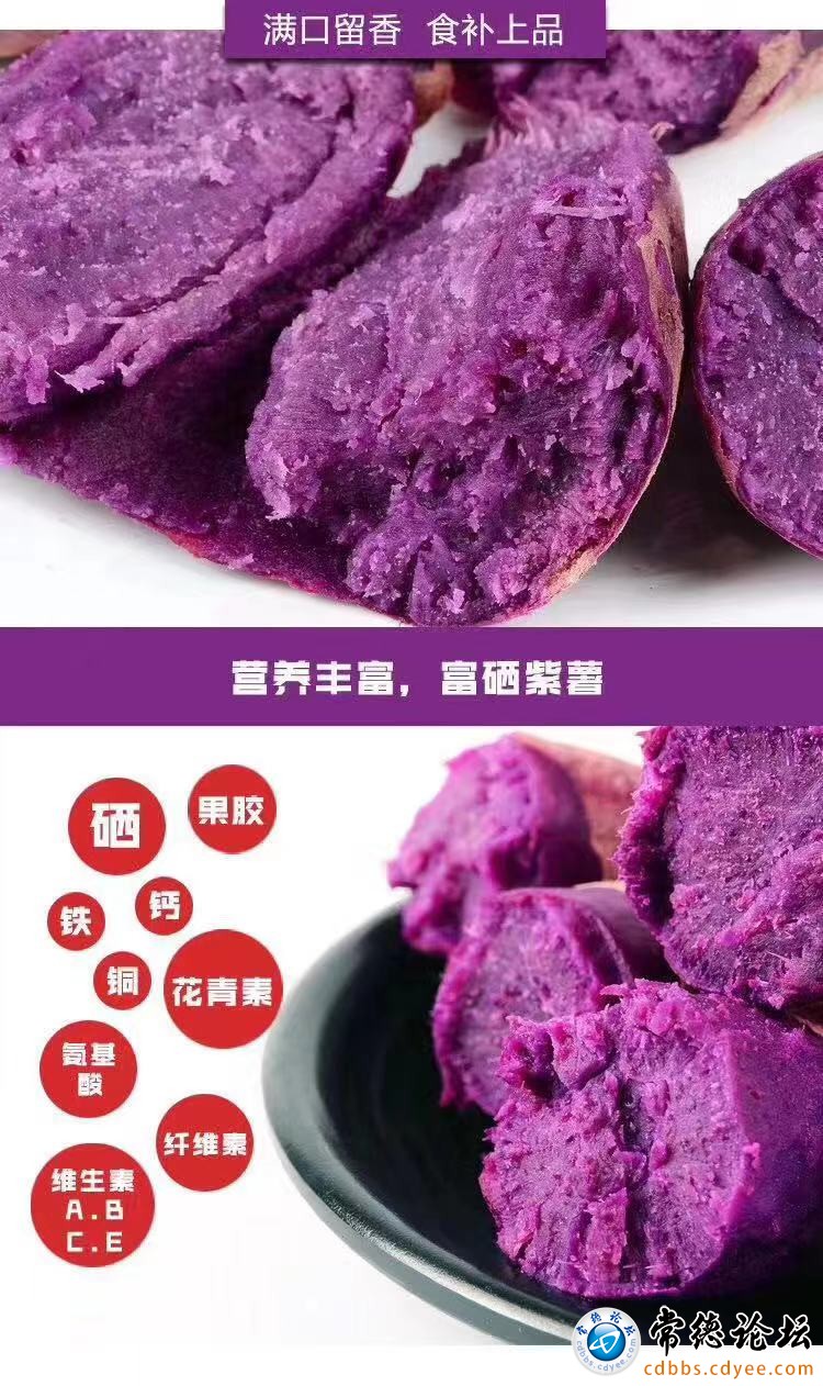 富硒紫红薯