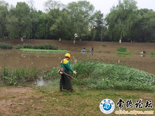 触屏版