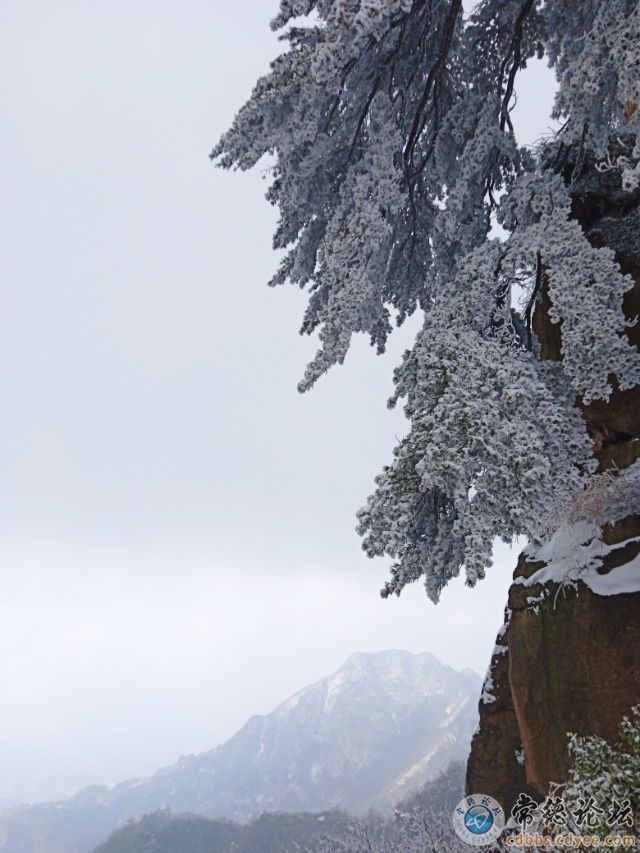 触屏版