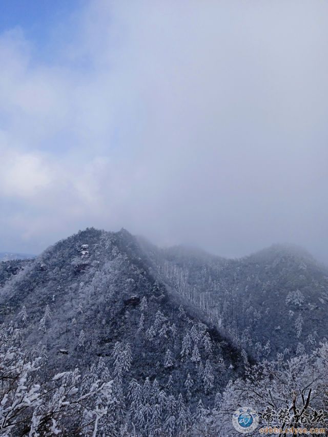 触屏版