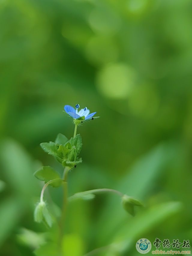 触屏版