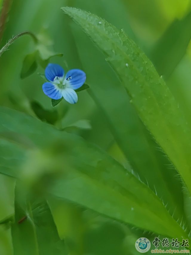 触屏版