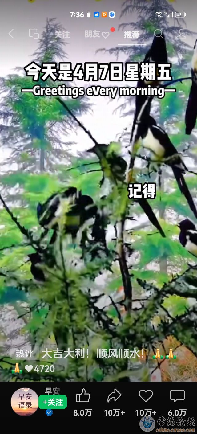 触屏版