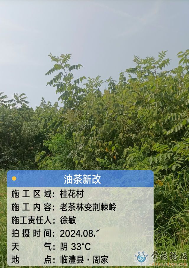 触屏版