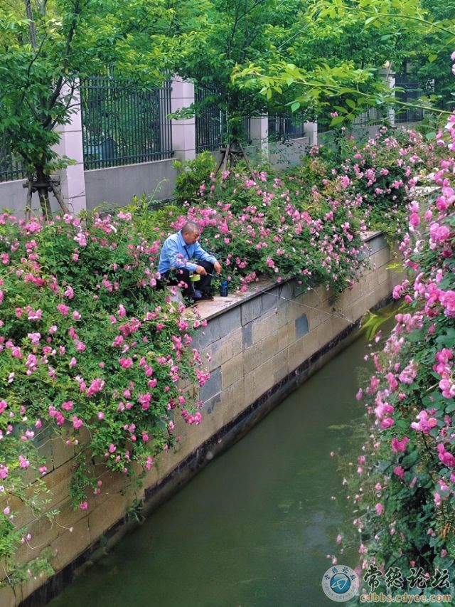 触屏版