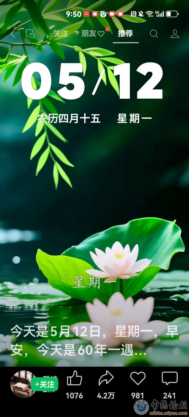 触屏版
