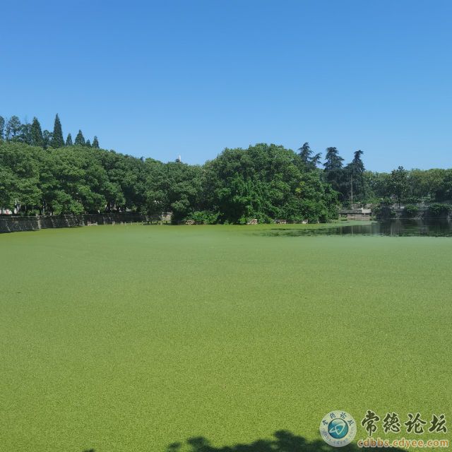 触屏版