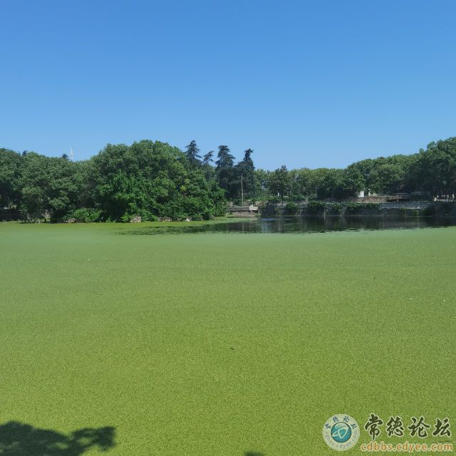 触屏版