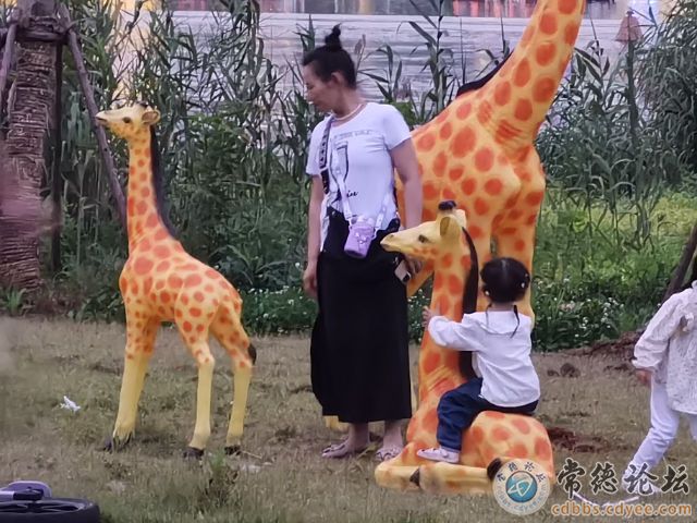 触屏版