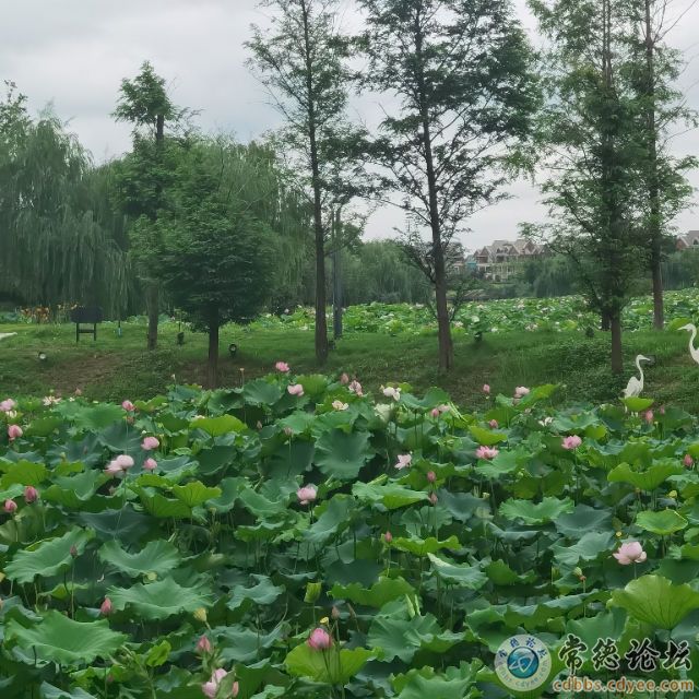 触屏版
