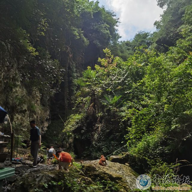 触屏版