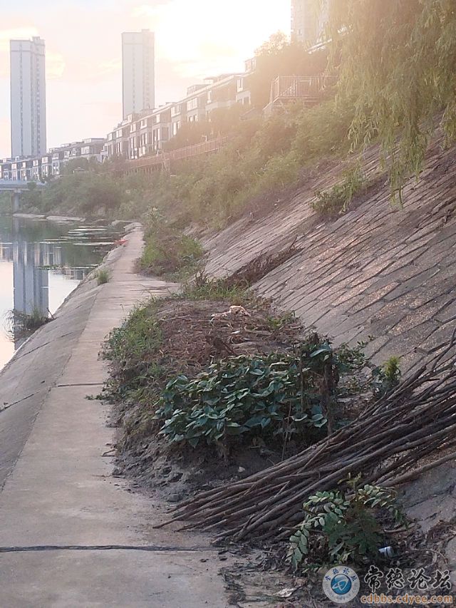 触屏版