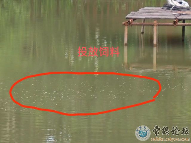 触屏版