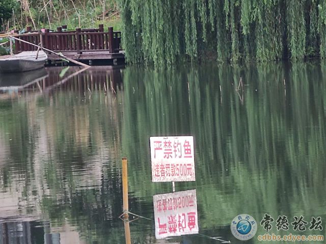 触屏版