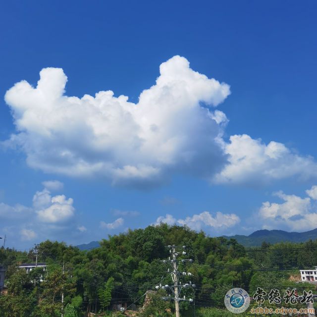 触屏版
