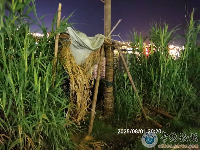 触屏版