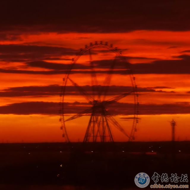 触屏版