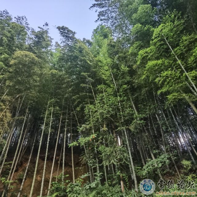 触屏版