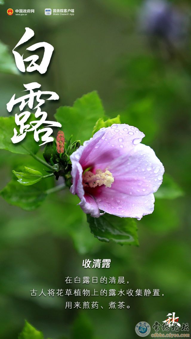 触屏版