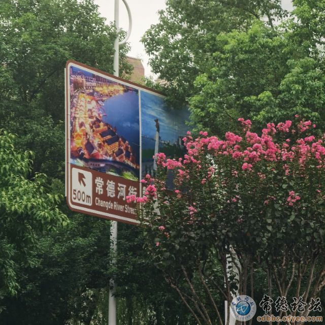 触屏版