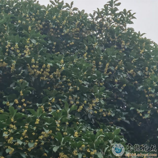 触屏版