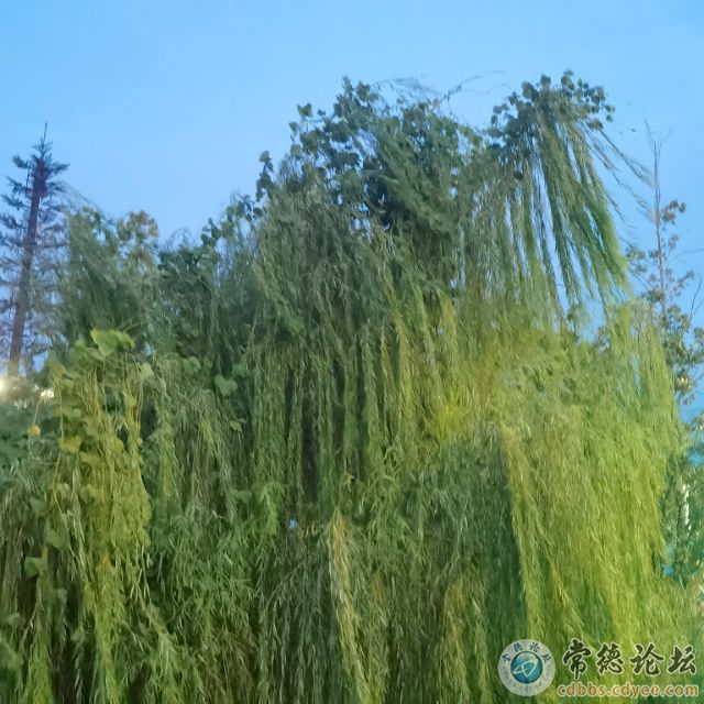 触屏版