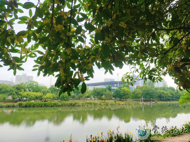 触屏版