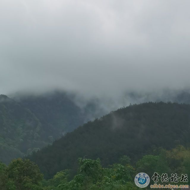 触屏版