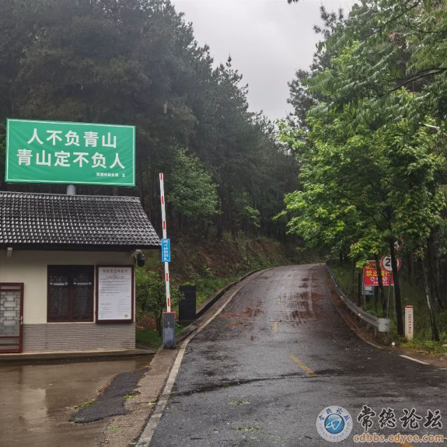 触屏版