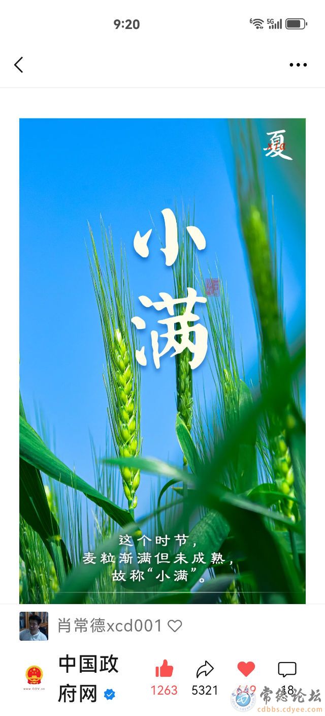 触屏版