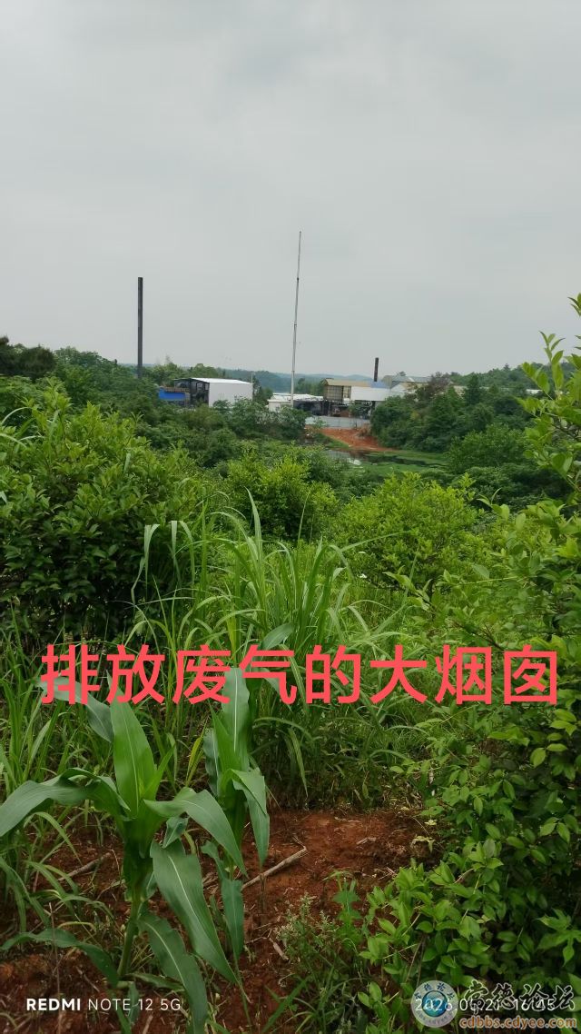 触屏版